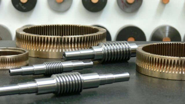 Worm shaft and worm gear